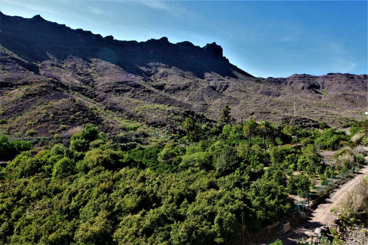 Open Sky Valley Mogán Dış mekan fotoğraf